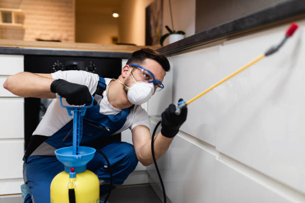 Best Rat Extermination Near Me  in Rangely, CO