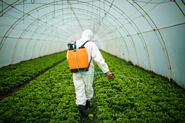 Best Best Pest Control Companies  in Rangely, CO