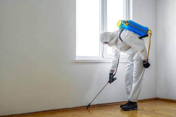 Best Exterminator Services  in Rangely, CO