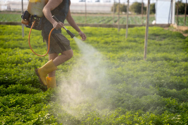 Pest Control Cost in Rangely, CO