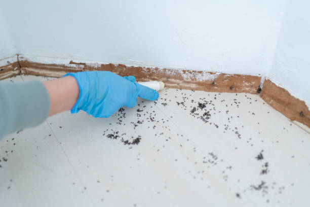 Best Best Pest Control Companies  in Rangely, CO