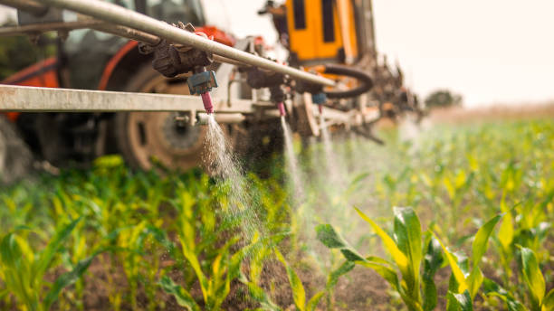 Professional Pest Control in Rangely, CO